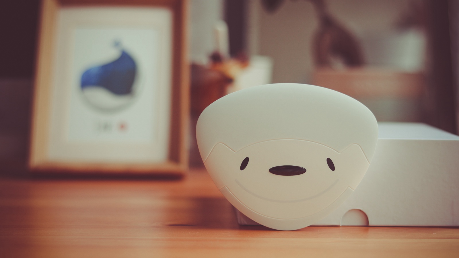 京东盒子抢先体验——OTT圈你好，JD来了