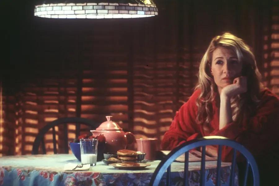 以《我是山姆》为例，谈谈现代职业女性如何化解“精神生态危机”