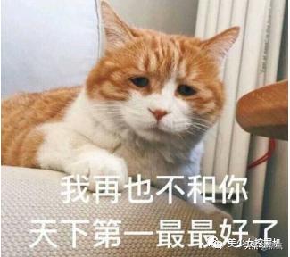 比小团团还火的女主播乔碧萝,斗鱼一姐小团团视频