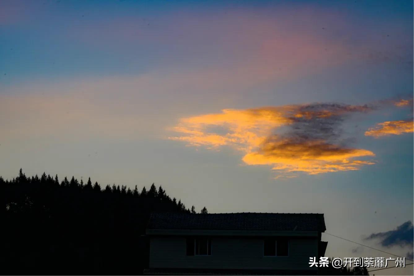 浜戝崡涓嵂閲庢灉澶у叏,浜戝崡閲庢灉鑽潗