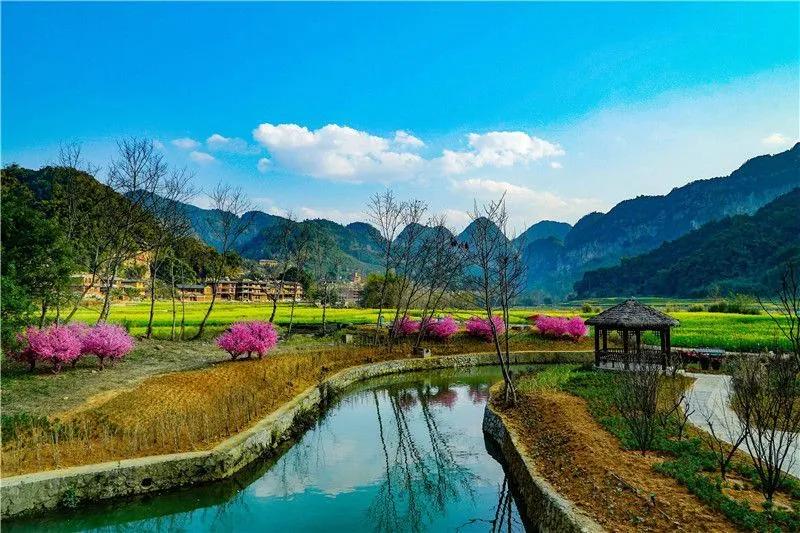 官宣免费全本小说,影后和大总裁官宣了全文免费阅读