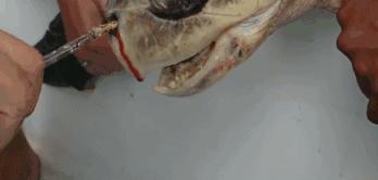 给明星做造型的“垃圾”行为艺术家？雷人背后的那一份深刻……