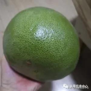 在网上买水果有哪些坑,在网上买水果划算吗