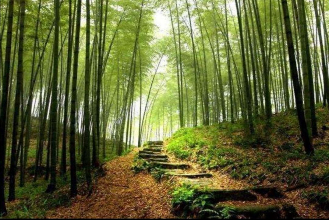 推荐好看的种田建设流小说,经典种田基建流小说