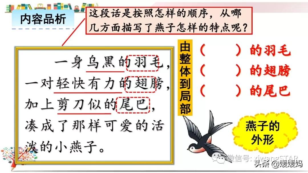 三年级下册燕子1到3自然段背诵,部编教材三年级下册语文2燕子