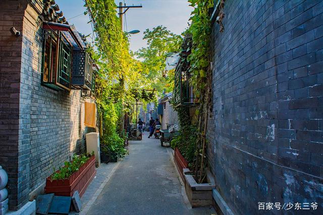 北京东来顺自助,北京三文鱼自助