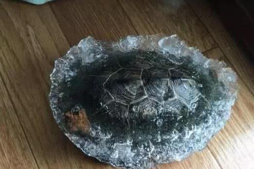 科普水是怎么结冰的,水是怎么结冰的