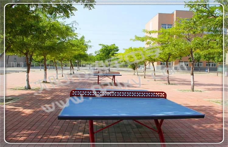 辽宁翔宇中学,2021辽宁沈阳翔宇中学