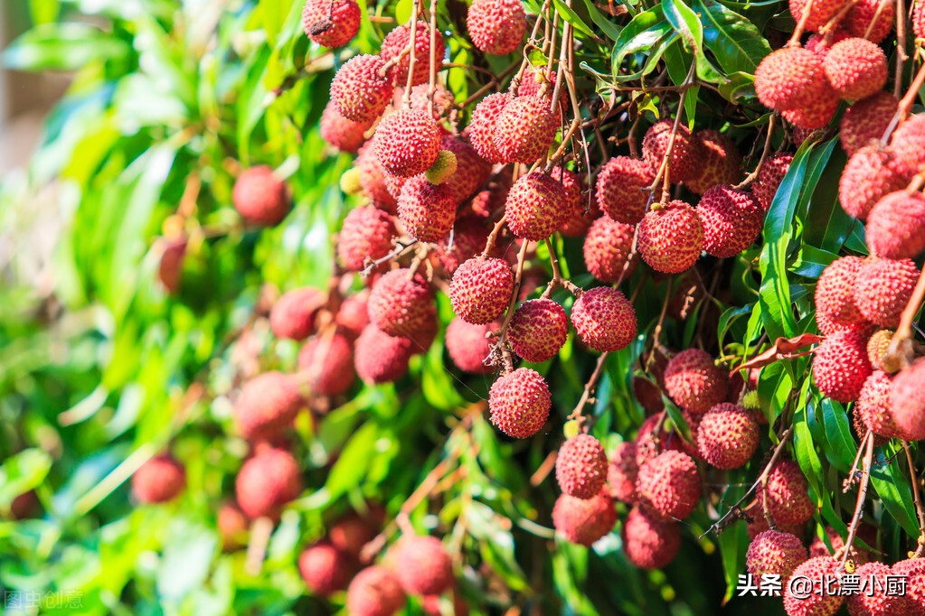 适合四五月份吃的应季水果,推荐这九种当季水果千万别错过