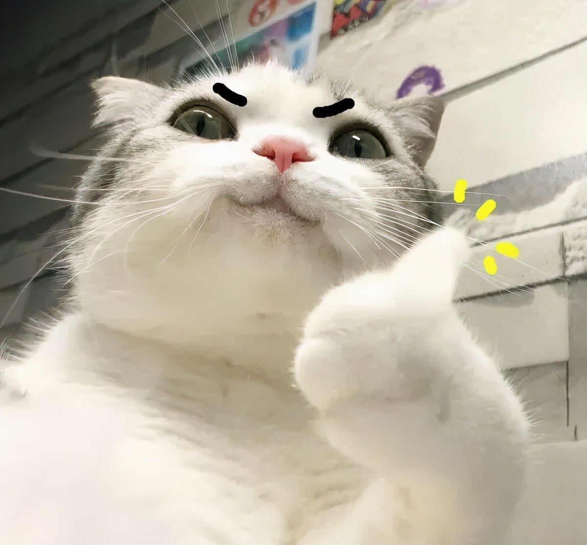 大家都误会了，清华学子也想实现“财务自由”