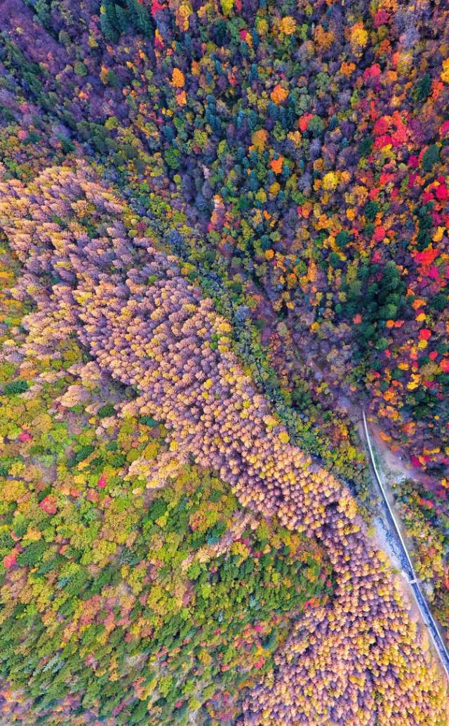 四川一条路途经全是石头的山,四川红叶一日游攻略