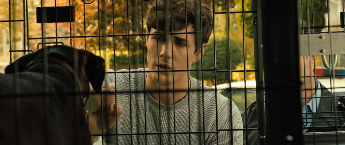 电影故事：一条小狗穿越四百英里回家的故事