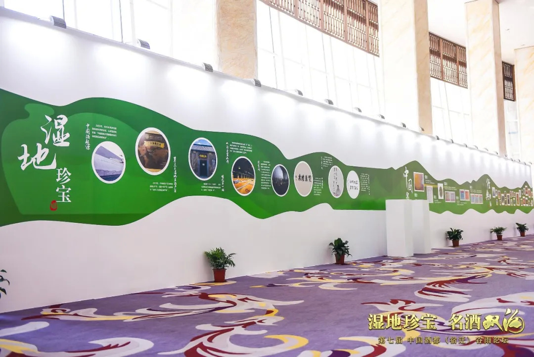 洋河白酒的发展史,洋河名酒最新消息