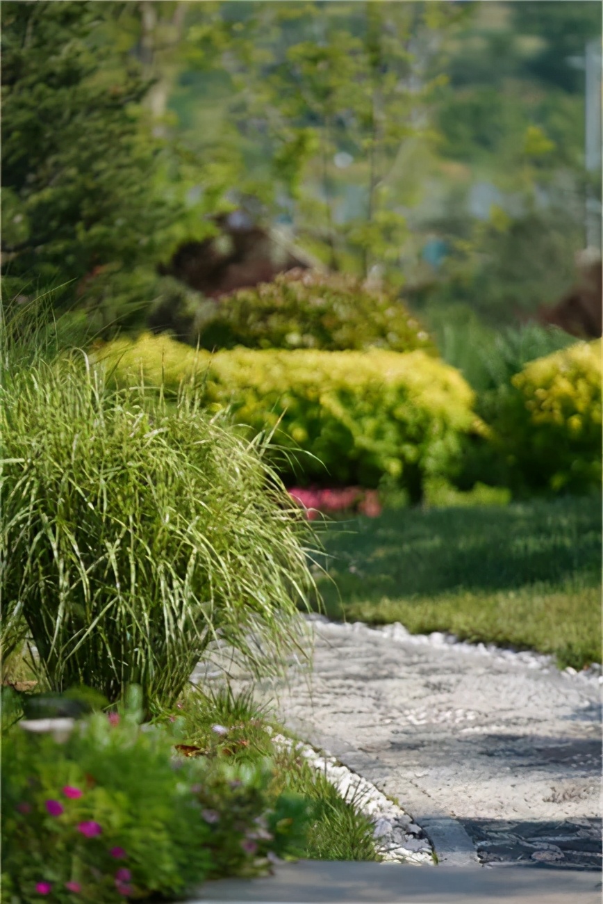 星空露营生态园,星空露营户外团建策划