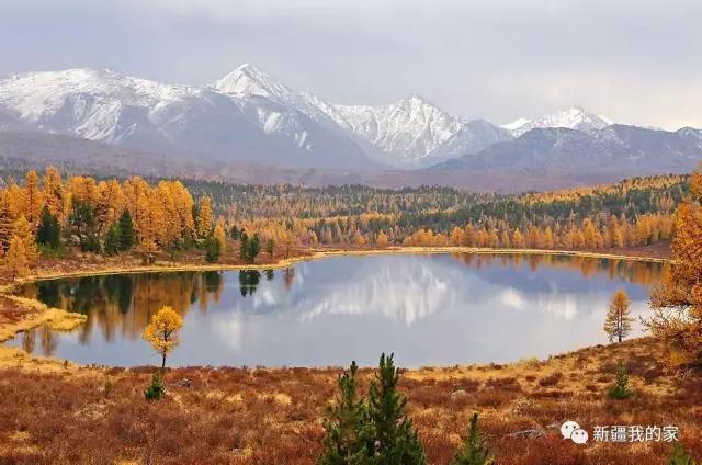 一封手写辞职信火了300万网友点赞,又一封辞职信刷爆朋友圈