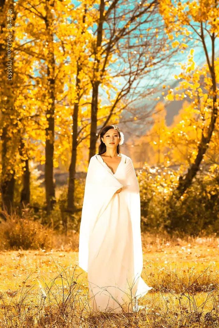 不曾爱过又何谈悲伤,爱不曾遗忘