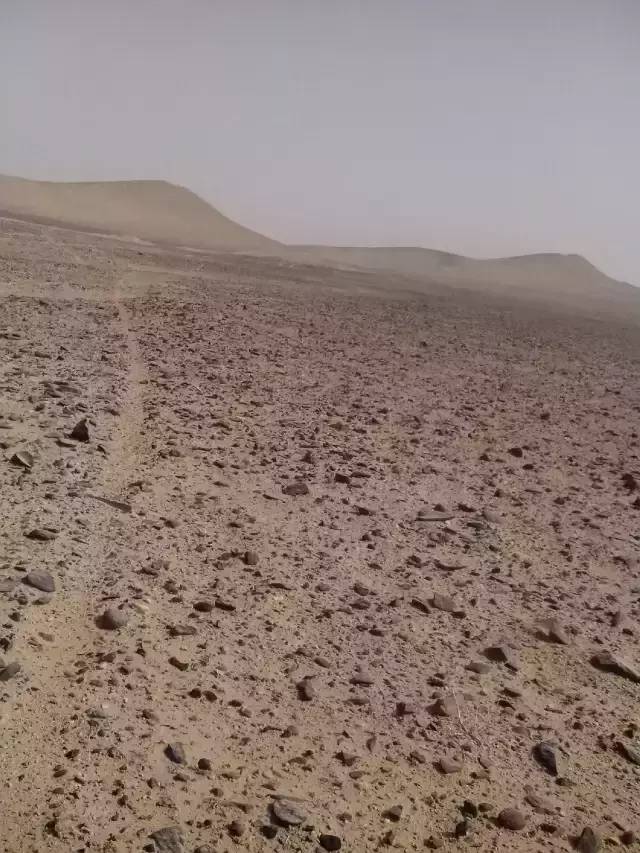 戈壁玉与戈壁石的区分,戈壁玉和戈壁石的区别