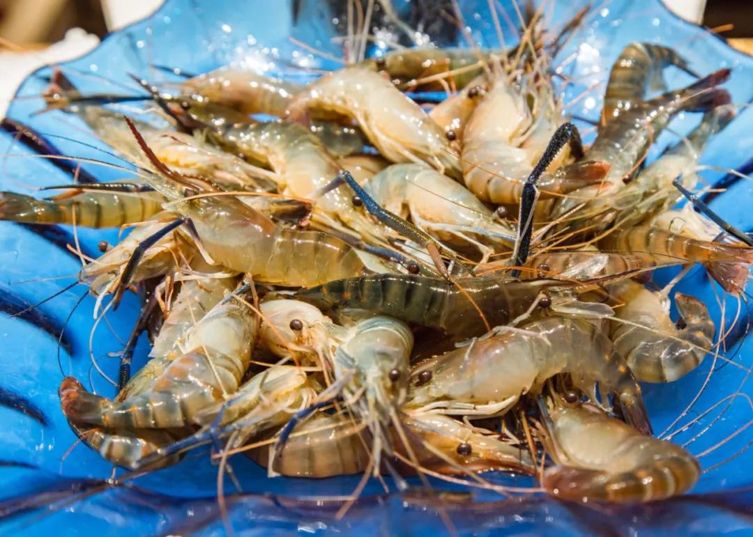 太强了！平价海鲜自助战斗机，0.63元/一道菜