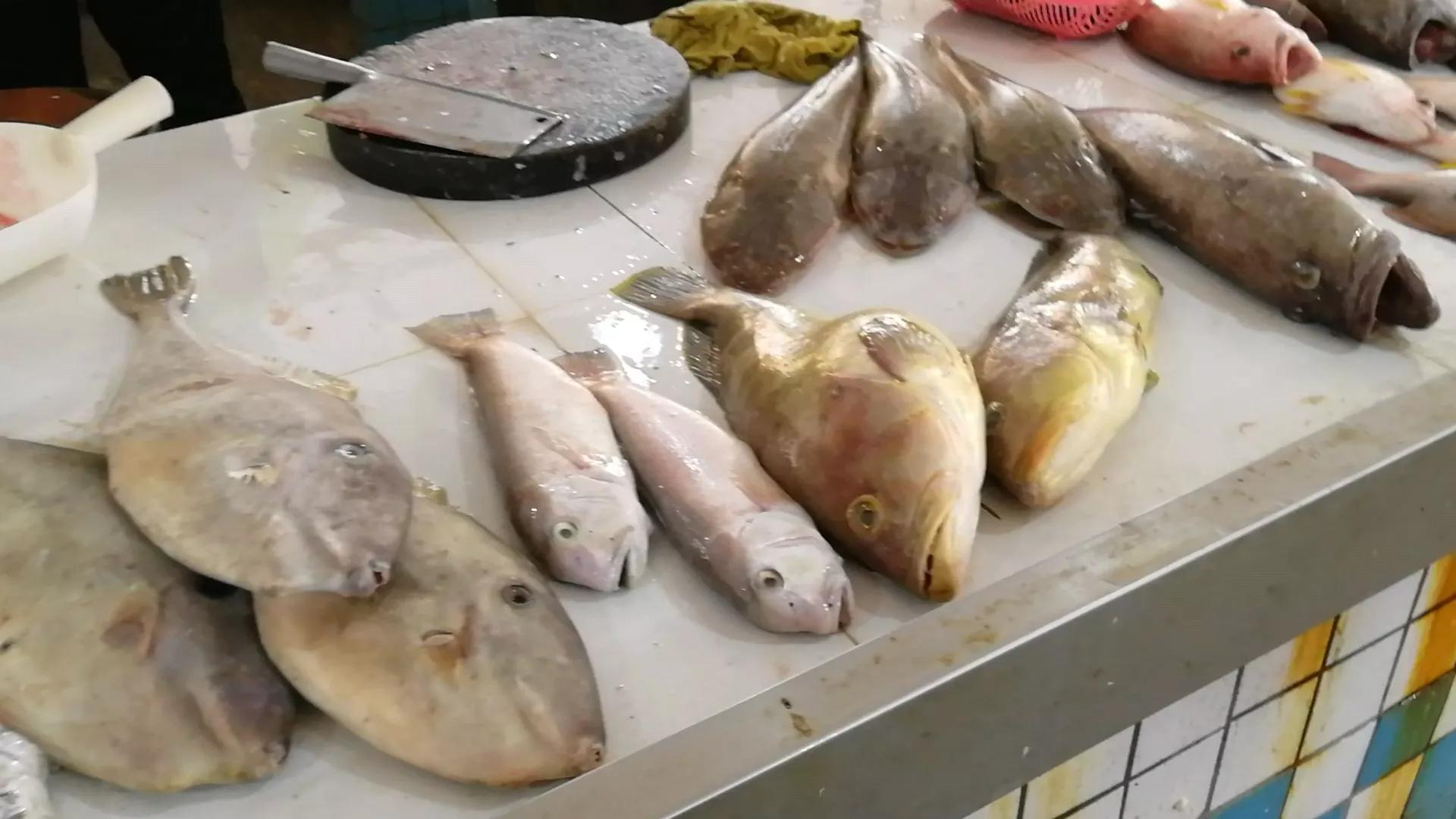 阳江海陵岛白蒲镇海鲜市场,海陵岛白蒲镇有什么好玩的地方