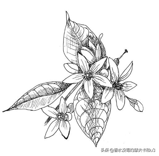 如果你喜欢银色山泉，那么今天的内容你必看