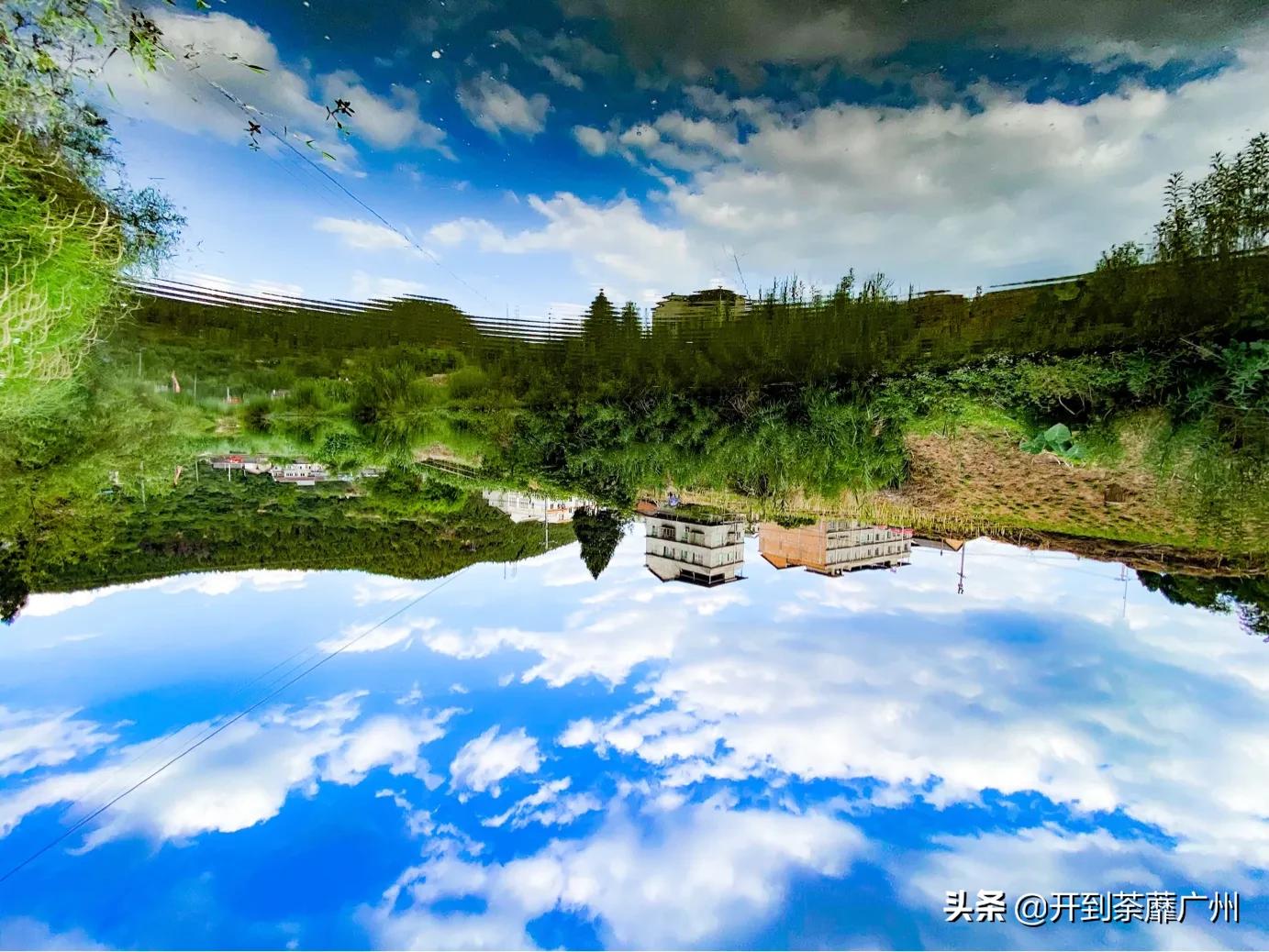 浜戝崡涓嵂閲庢灉澶у叏,浜戝崡閲庢灉鑽潗