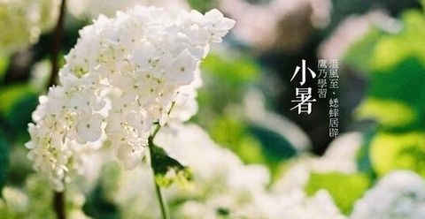 幼儿园小暑节气的特点和风俗,小暑的由来和风俗幼儿版