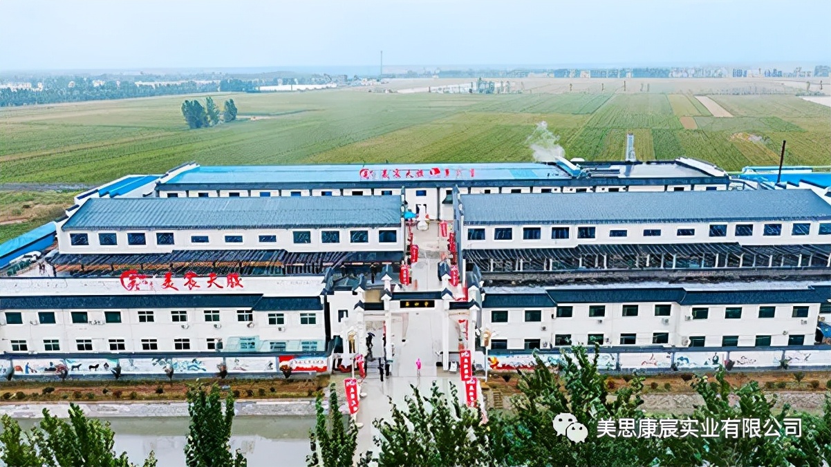 美思康宸是正规产品吗,美思康宸是哪里的品牌