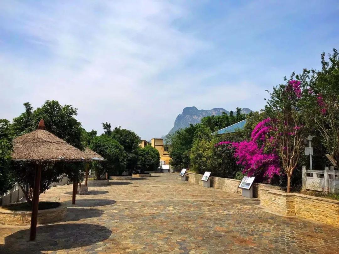 贵州风景好可以钓鱼的古镇,贵州梦幻江边旅游