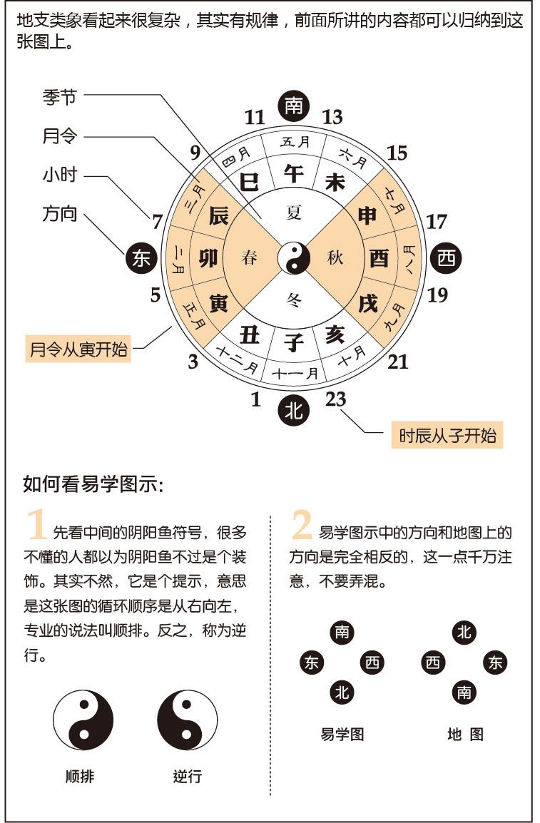 漫画四柱命理,漫画八字命理全集解析