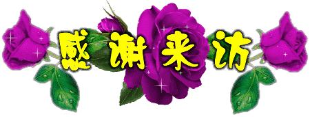 叶牡丹羽衣甘蓝,多头叶牡丹羽衣甘蓝