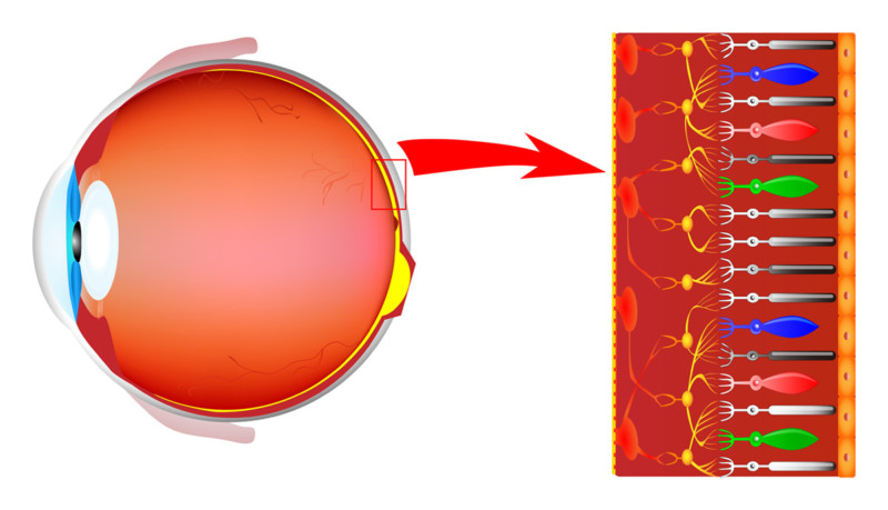 cmyk和rgb有什么区别,rgb和cmyk的区别什么情况下使用