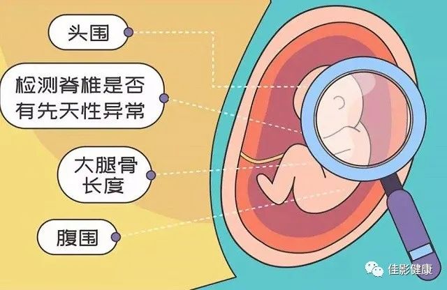 瀛曟湡浜ф椤圭洰鍜屾椂闂磋〃,瀛曟湡浜ф椤圭洰鍜屾椂闂磋〃澶у叏