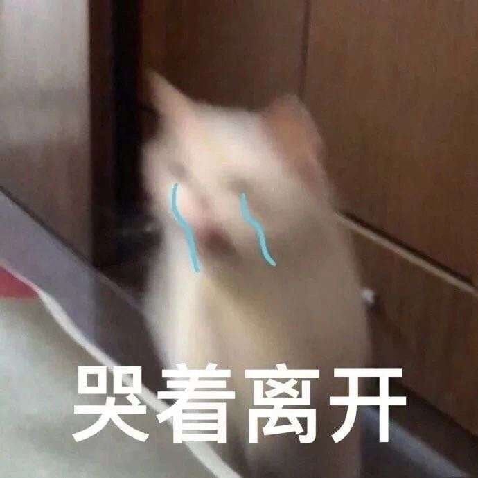绿茶女是怎么吸引异性的,绿茶婊为什么招男生喜欢