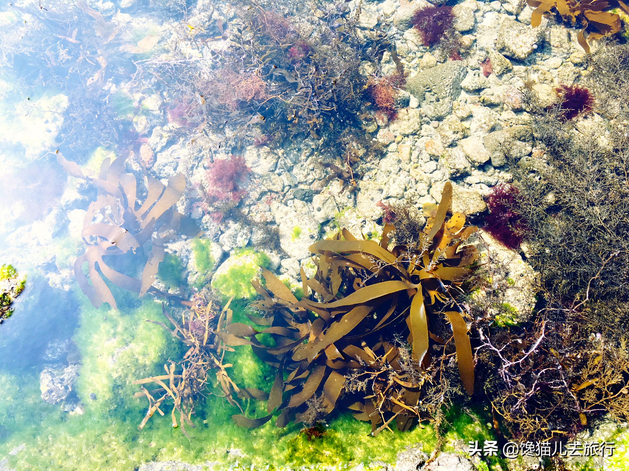 韩国汗蒸馆内中文,韩国汗蒸馆中文