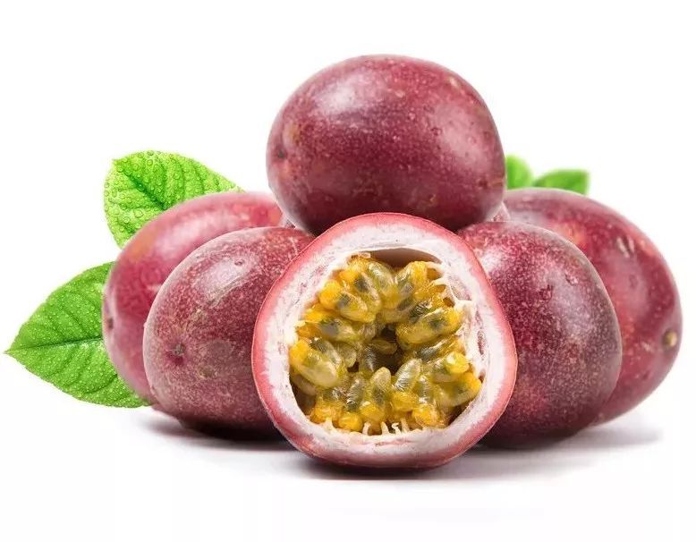 100种常见观叶植物图鉴史上最全,农村常见的100种植物