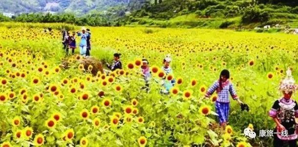 康养养老产业项目有哪些,养老康养行业前景