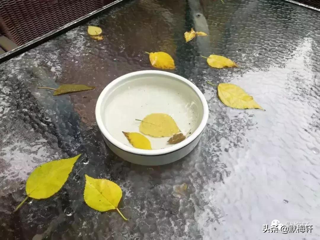 跟国学大师面对面,和国学大师面对面视频