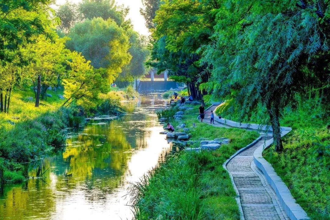 荣获乡村振兴优秀证书,2023乡村振兴成就奖