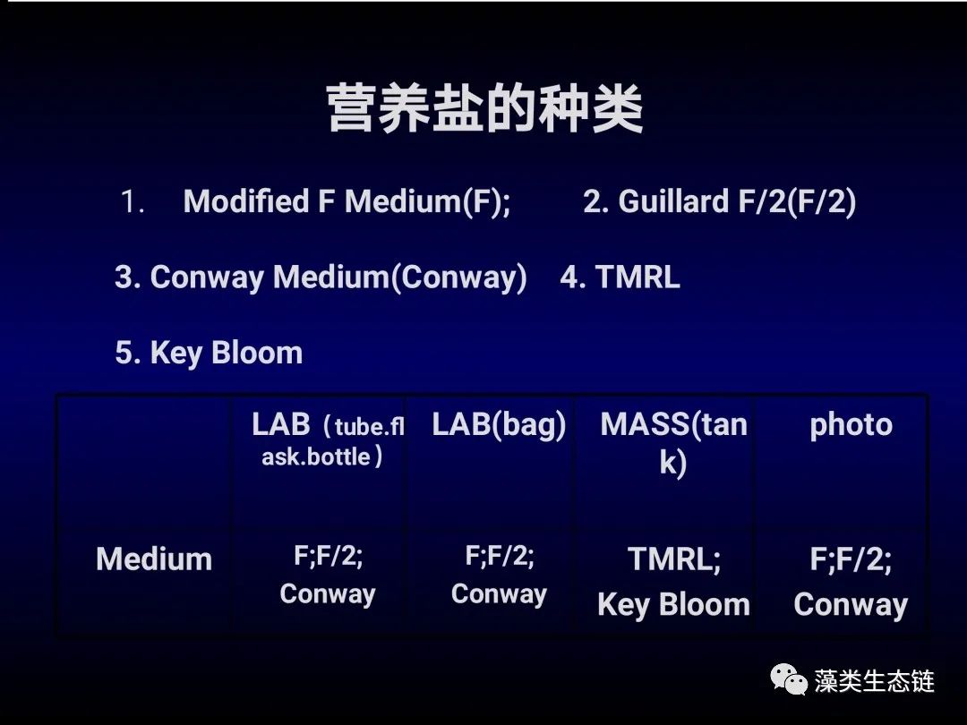 藻类培养课程视频教程,海南藻类生态链