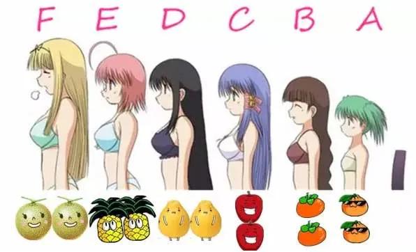 运动内衣要选择什么款,运动内衣和运动贴身内衣的区别