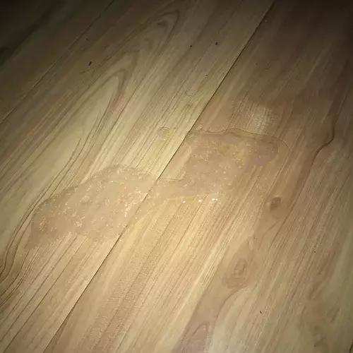 猫咪突然呕吐黄色液体是什么原因,猫咪呕吐透明色液体是怎么回事