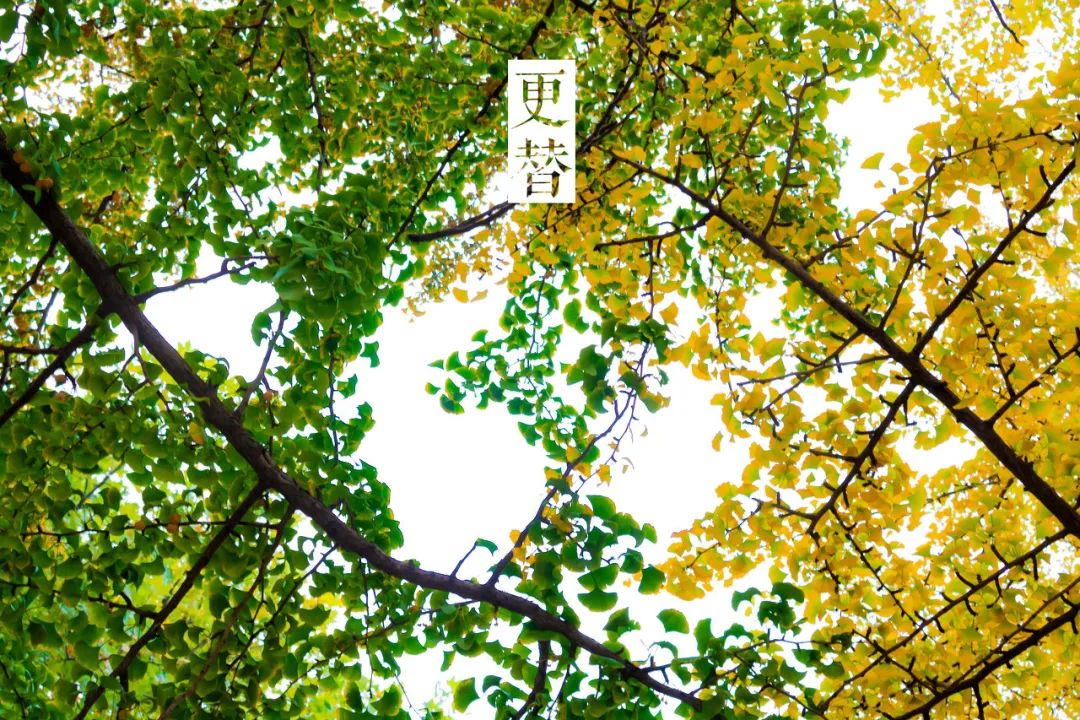 突然就想去成都了,突然想去青岛了