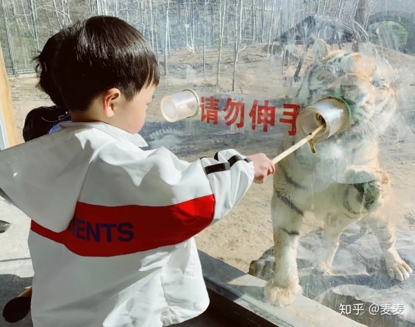 野生动物园长隆游玩攻略,野生动物园长隆攻略图片