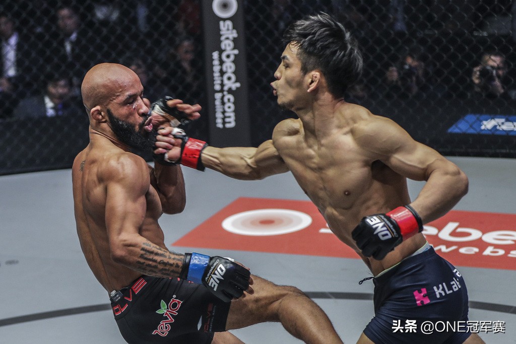 大力鼠约翰逊比赛,大力鼠约翰逊打法