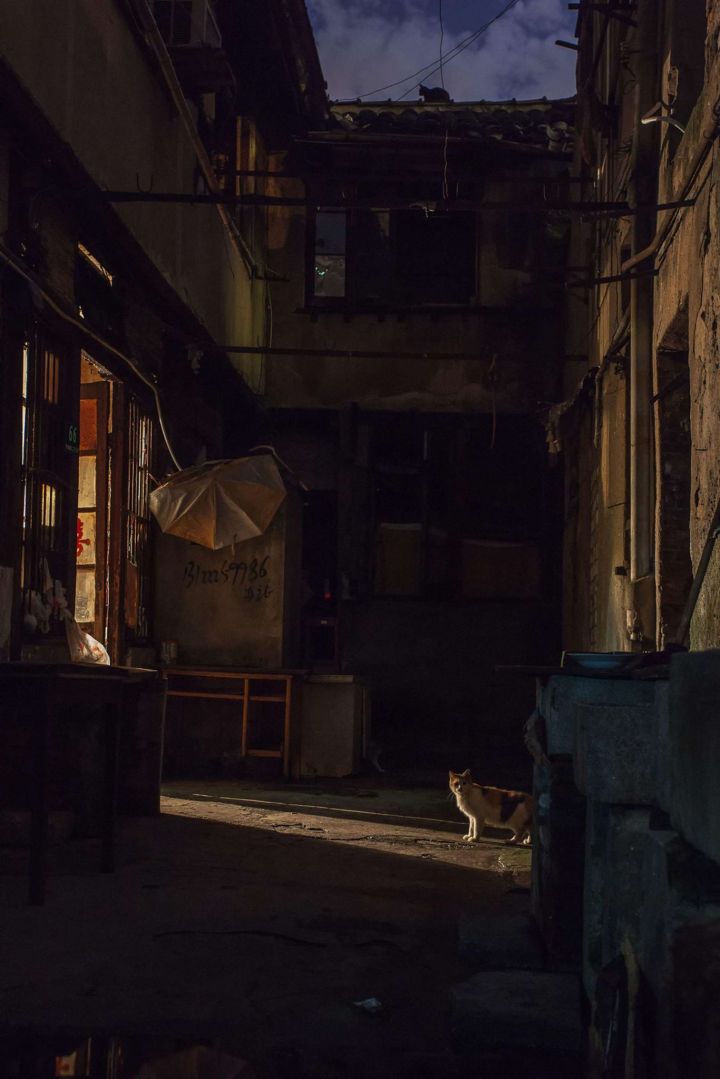 经典文章段落摘抄,文章段落的摘抄