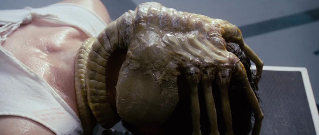 异形到底有多少种形态,异形到底存在吗