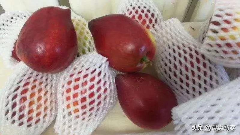 油桃脆甜多汁爽口,一口下去黄桃果肉绵密清爽冰沙