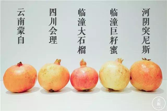 搞完石榴选美大赛，才发现原来你们是这样的石榴｜美观测评