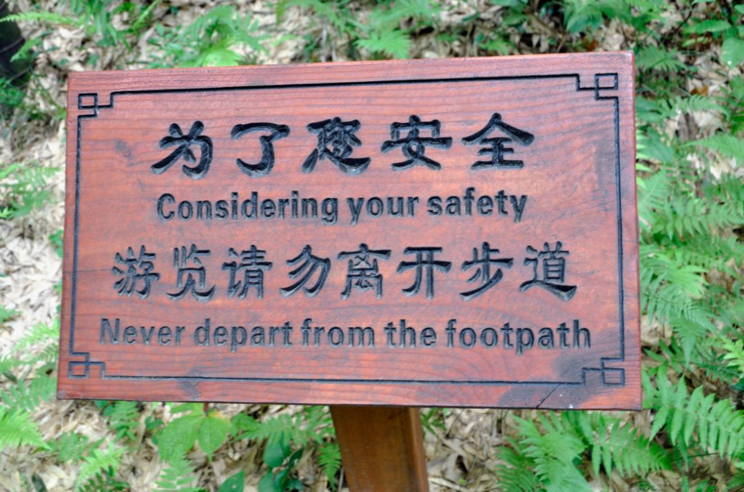 瀹滃叴绔规捣璇︾粏鏀荤暐,瀹滃叴绔规捣娓稿鏀荤暐