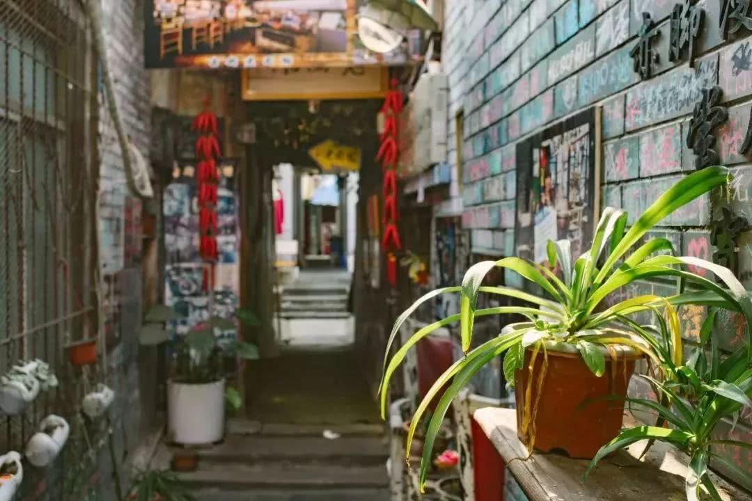 武汉21个免费景点,武汉43个免费景点出炉